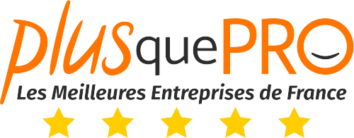Logo Plusquepro